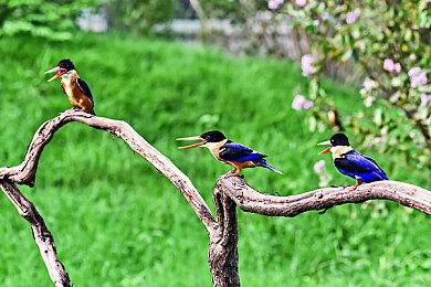 B社称任务板将在《星空》回归 完成任务获经验资源等