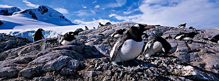 《奇迹时代4》新DLC“血之王座”公布 11月11日发售